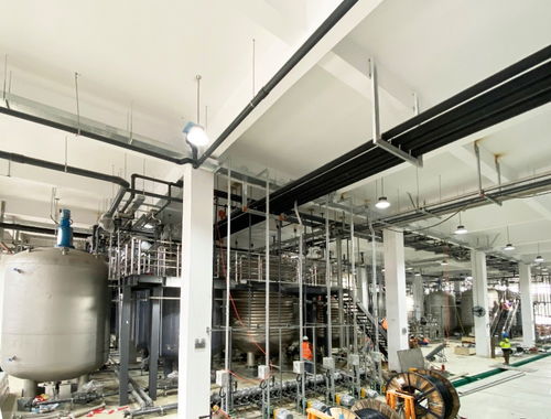 國產NMN“不老藥”概念再掀熱潮 寧波百噸工廠試產成功，惠及80萬人，或成網絡游戲開發新藍海